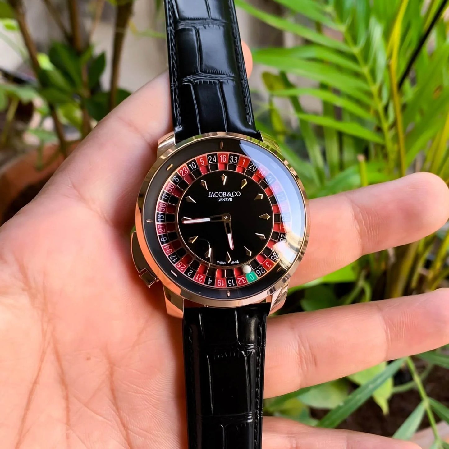 Casino Watch